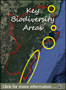 Click for more information about the Shoalhaven's Key Biodiversity Areas
