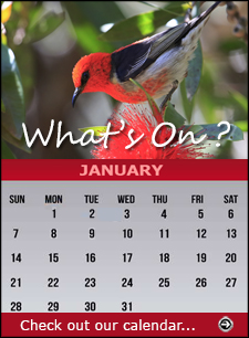 Click for our Calendar page