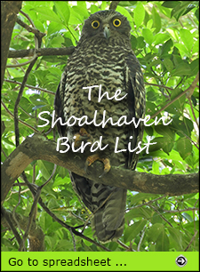Click to view the Shoalhaven Bird List spreadsheet