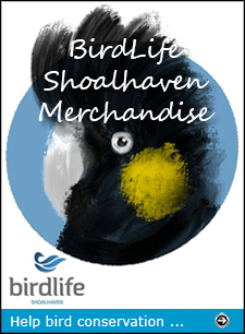 Click to visit our Redbubble merchandise page - 20% of every purchase helps fund bird conservation in the Shoalhaven