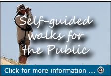 Click for more information about self-guided walks